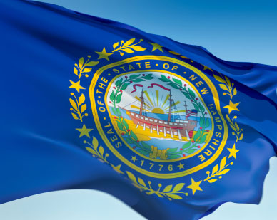 state flag of new hampshire